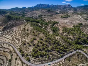 Finca en Relleu - Alicante