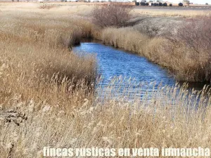 finca en venta 150 has. labor secano almendro