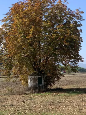 Finca rústica con producción ecológica y coto
