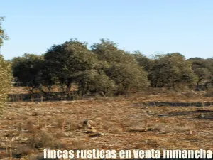 finca en venta 106 has. labor monte en Toledo