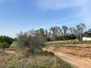 Finca Fontanilla La Palma del Condado