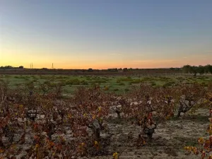 Finca con pozo Bollullos Par del Condado