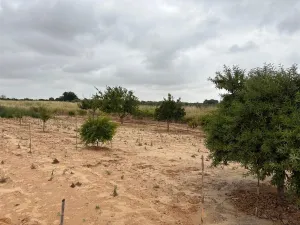 Finca en Bollullos par del condado Bollullos