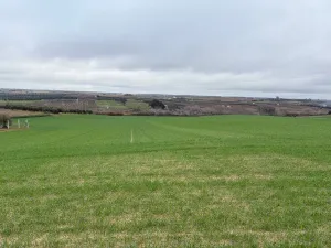 Finca Bollullos Par del Condado, Huelva