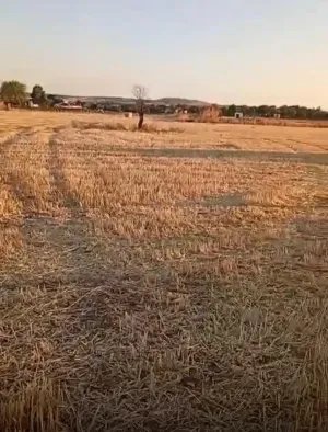 FINCA RUSTICA EN ALMAGRO, CIUDAD REAL, ESPAÑA