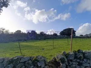 Finca Ganadera 190 ha en Cáceres