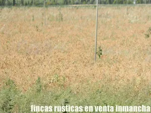 finca en venta 28 has. labor riego en Villena