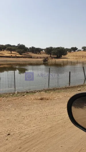 Finca Ganadera 600 ha Alcuéscar