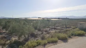 Finca Rústica en Monforte del Cid, Alicante - ¡Una Oportunidad Única! 🌳🌞