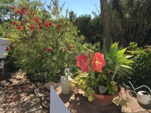 Finca Rustica en Estepona - Malaga