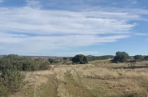 Venta finca rústica en Monterrubio La Serena