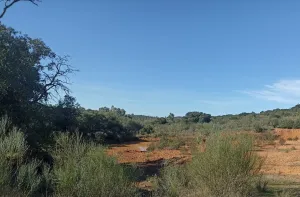 Finca rústica en Monterrubio La Serena