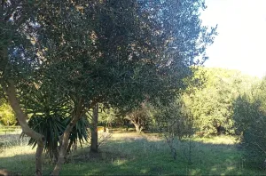 Finca Rústica en Algeciras