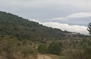 Finca Rústica en Huelma