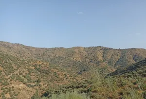 Finca Rústica en Málaga