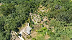 Finca rustica en Amarante - Porto