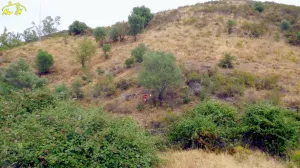 Propiedad de casi 9 hectáreas con viabilidad para proyectos.