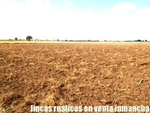 finca en venta 9 has labor regadío en Daimiel