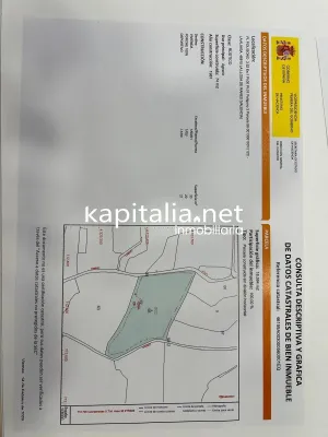 FINCA DE NARANJOS A LA VENTA EN LA LLOSA DE RANES