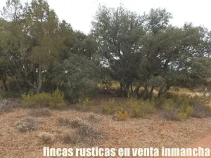 finca en venta recreo 196 has. en Ruidera