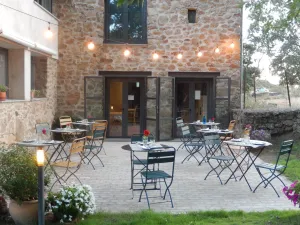 VENTA DE TERRENO CON VIVIENDA EN LA VERA