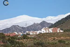 FINCA RÚSTICA EN  DILAR.