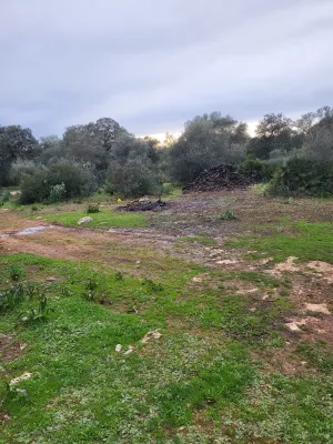 Se vende finca con vistas increíbles