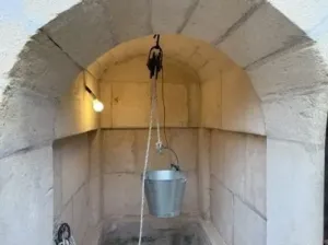 Finca única en Montuïri: 31,7 acres exclusivos y plantación de Olivos con rentabilidad