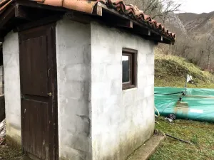 Cabaña con plantación de arandanos