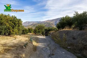 2 Fincas rústicas con mas de 15.000 m2 en total. En Pinos del Valle (VENTA JUNTAS o SEPARADAS)