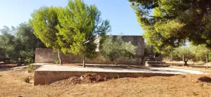 FINCA RÚSTICA CON CASA Y ALMACÉN