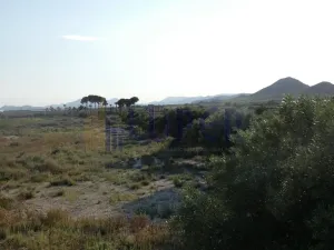 Finca en Agost Alicante