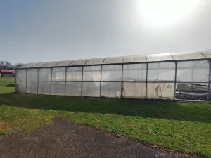 explotación agrícola en Llanera