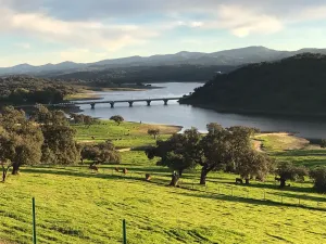 ESPECTACULAR FINCA RUSTICA Y GANADERA