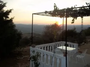 Finca rustica olivar y recreo