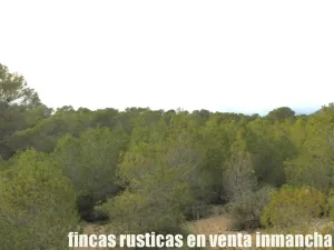 finca en venta 125 has. labor-almendros-monte