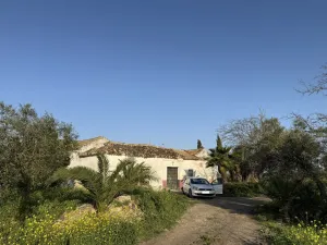 FINCA RÚSTICA PRODUCTIVA EN CAMPIÑA ECIJANA