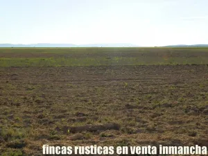 finca en venta 366 has. labor viña en Toledo