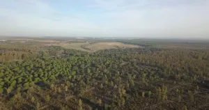 Finca de 159 ha en Doñana /Coto privado