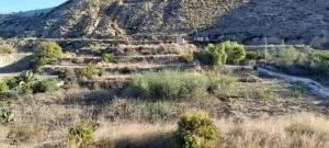 Huerta con casa de aperos, punto de luz y aljibe en los tollos, Archena.