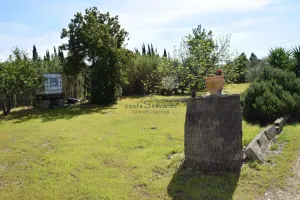 Finca rustica La palma del Condado