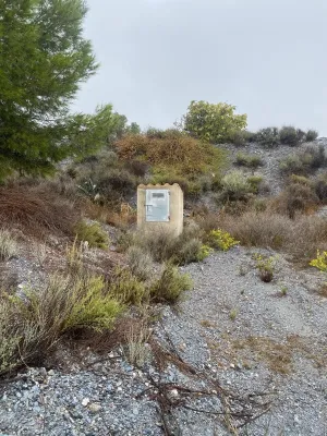 FINCA OLIVOS Y PINOS