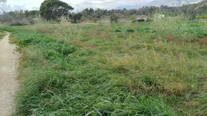 Finca rústica en Xerta con acceso directo al río Ebro
