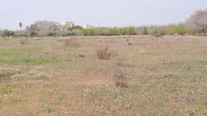 Finca rústica en venta en Constanti