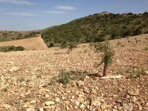 Finca agrícola ganadera ecológica renovables