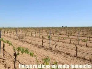 finca en venta 295 has. labor secano Albacete