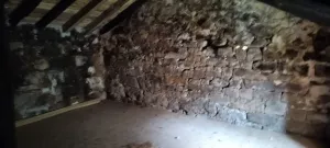 Casa en Espinosa de los Monteros - Burgos