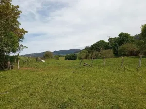 Finca en Rasines