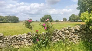 Preciosa finca, buen acceso