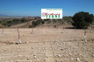 Finca de olivar y almendros en Grana